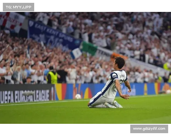 博德闪耀逼平热刺 甘德森乌龙送礼助客队绝平两球大战